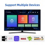 Livego IPTV Subscription 12 months 4K Nordic Worldwide IPTV Sweden Spian Switzerland Netherlands Belgium Germany Smarters pro Android Box m3u No XXX